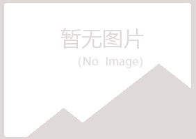 伍家岗区白山金属有限公司